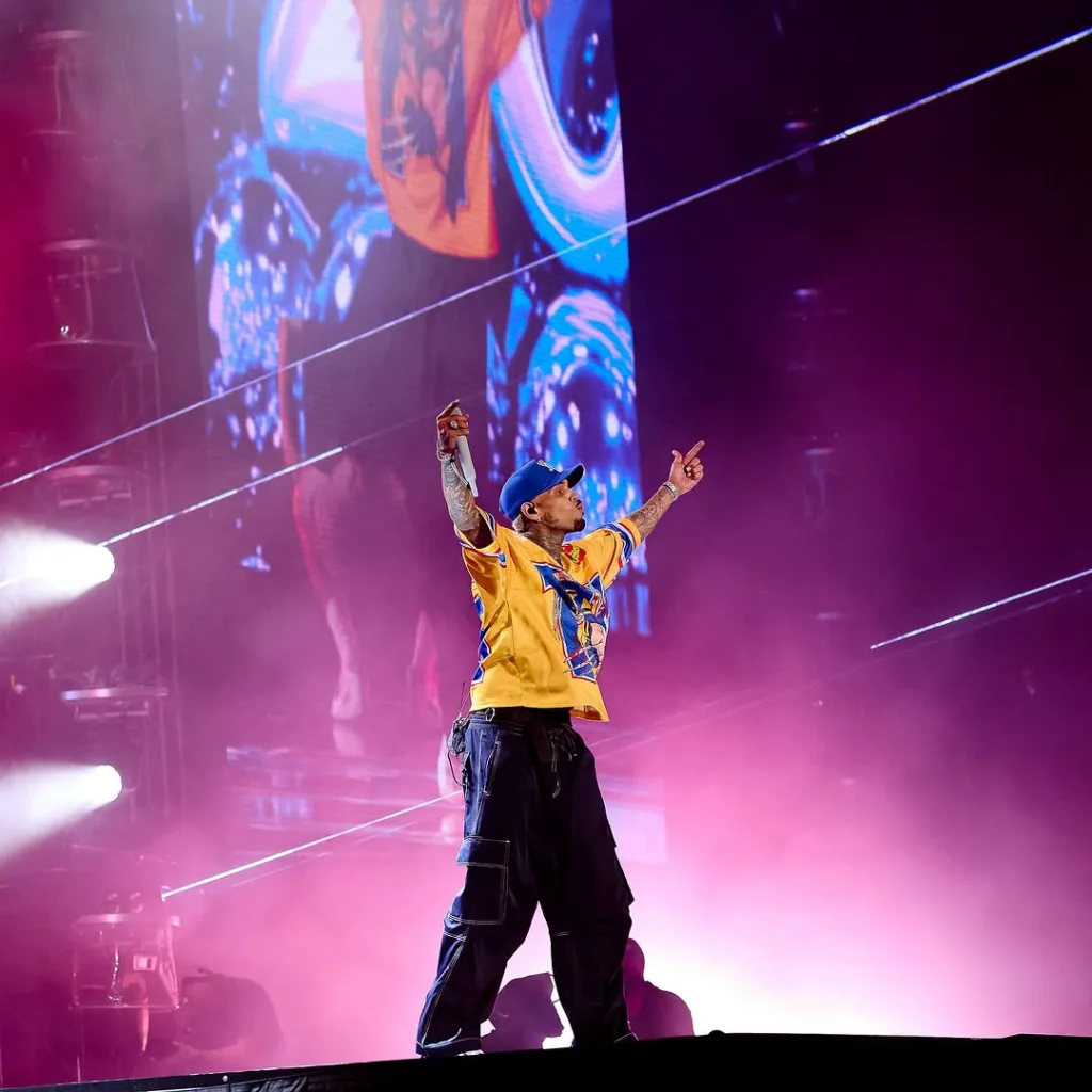 Chris Brown in South Africa, FNB Stadium