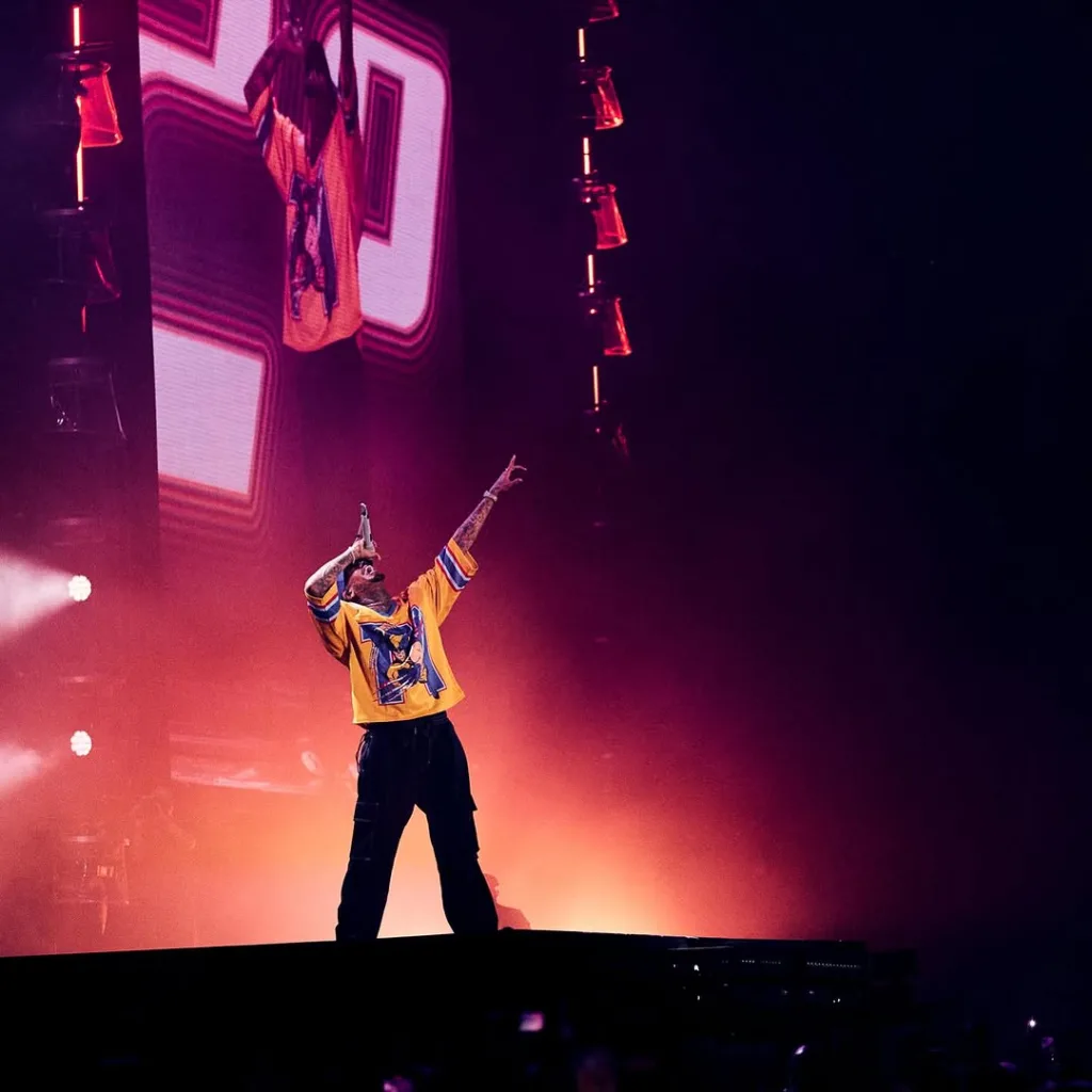 Chris Brown in South Africa, FNB Stadium