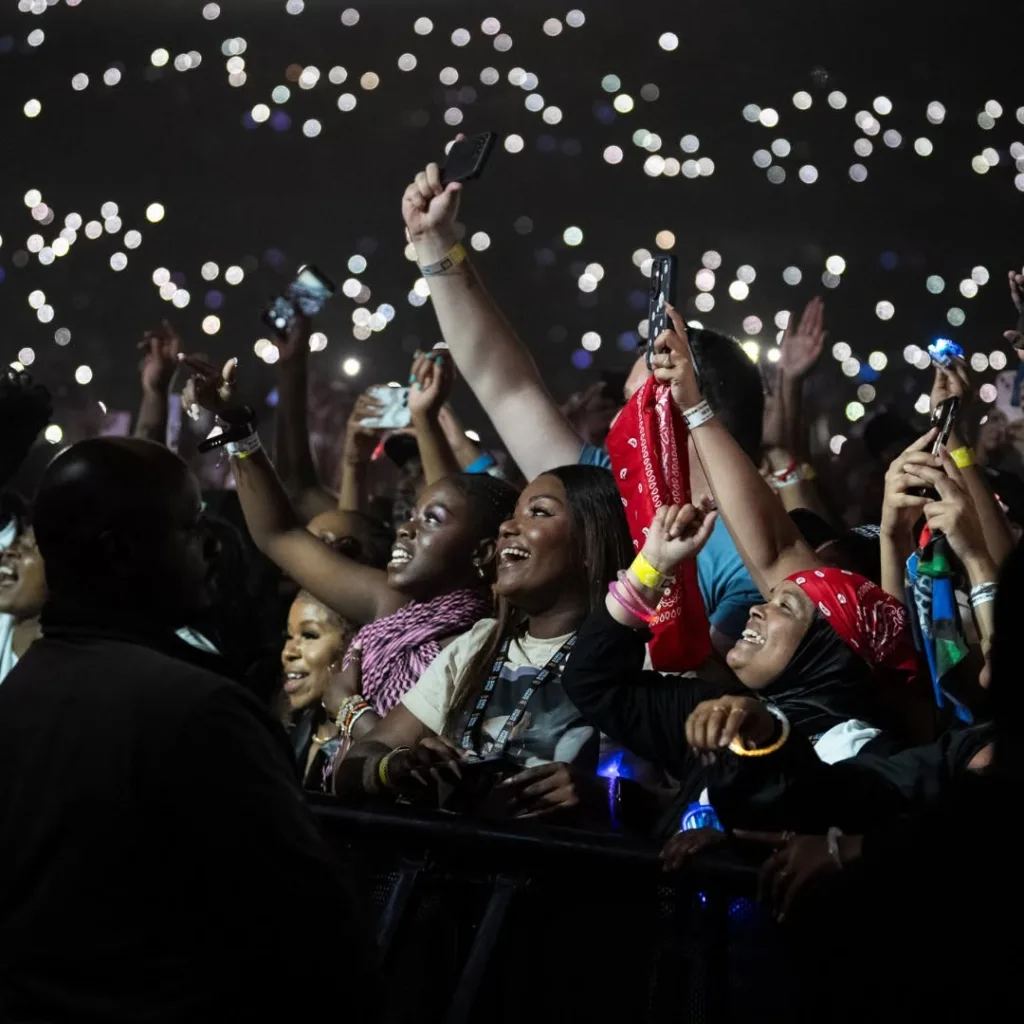 Chris Brown in South Africa, FNB Stadium
