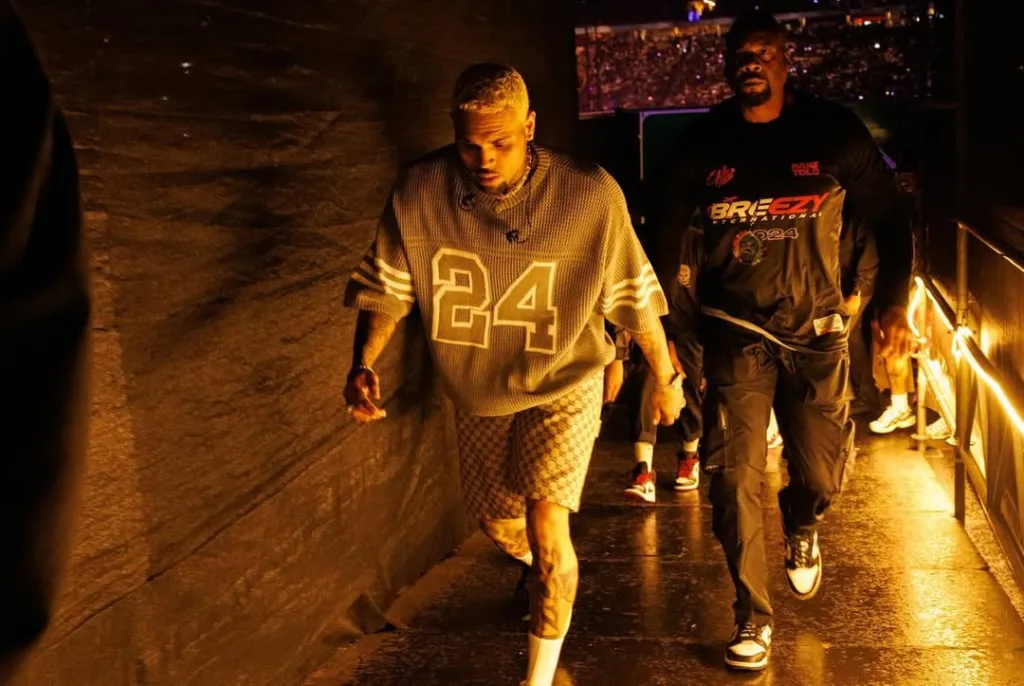 Chris Brown in South Africa, FNB Stadium