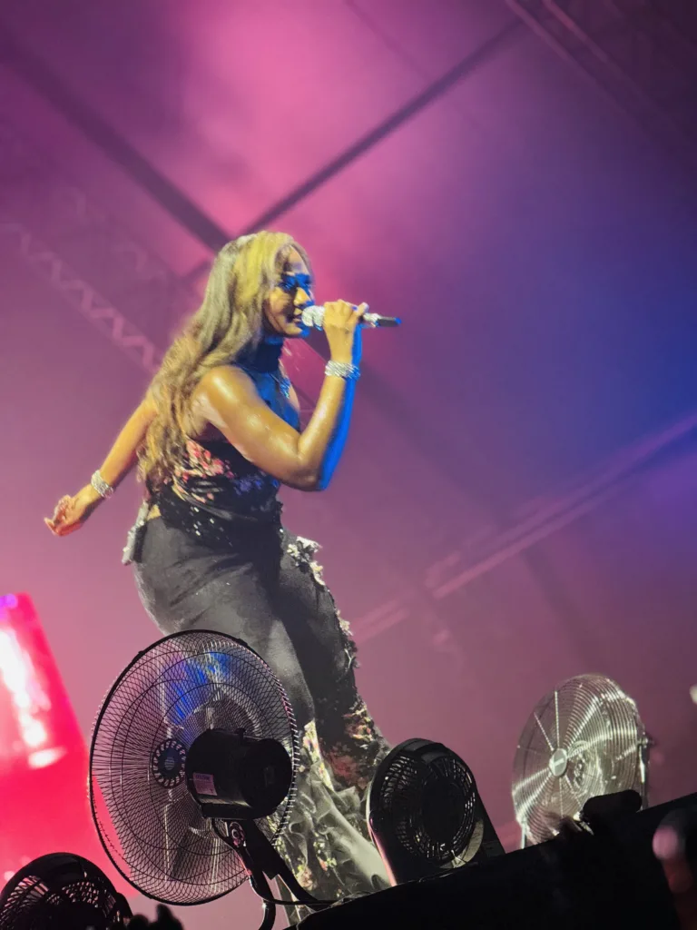 Tems Born in the Wild Tour