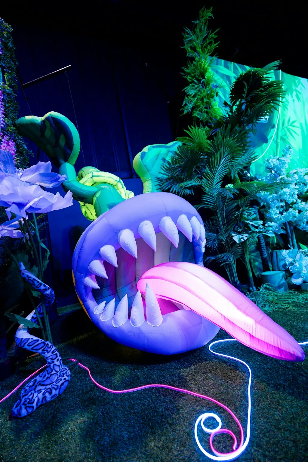 COUNTDOWN TO THE RAND SHOW 2026